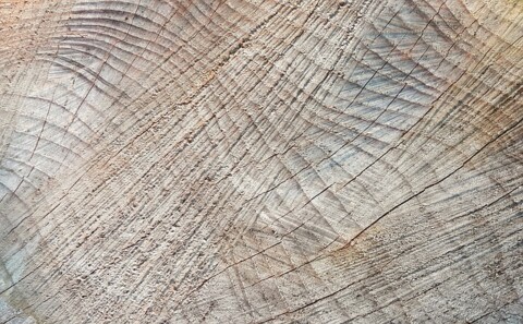 Wood grain