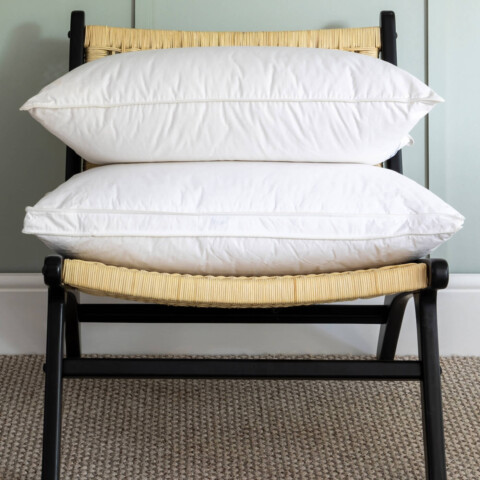 Soak and Sleep 100% Canadian Goose Down Pillows