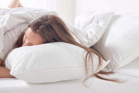 Snuggledown Hungarian Goose Down Pillow